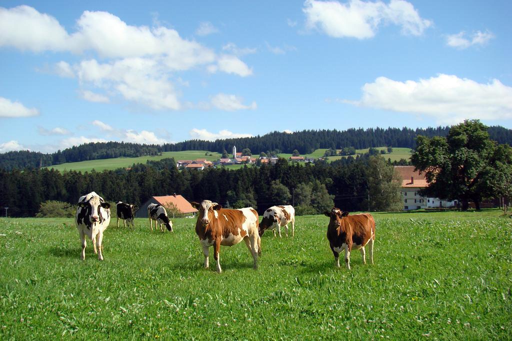 הוילה Möggers Bio-Bauernhof Heidegger מראה חיצוני תמונה